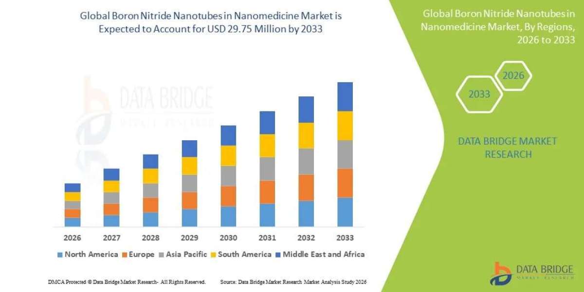 Boron Nitride Nanotubes in Nanomedicine Market Segmentation and Competitive Analysis