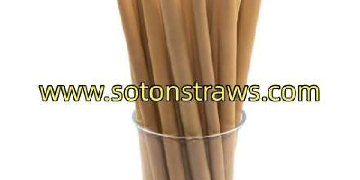 Why Does SotonStraws Create Eco-friendly Straws Solutions?