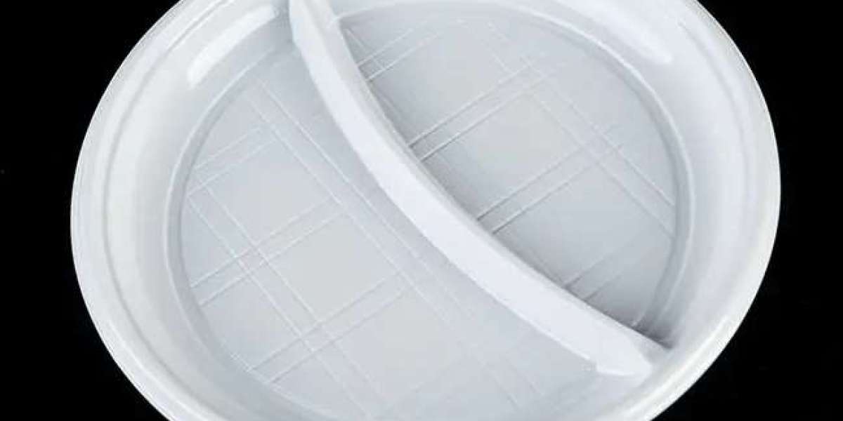 Can a Plastic Plate Really Replace Traditional Dinnerware?