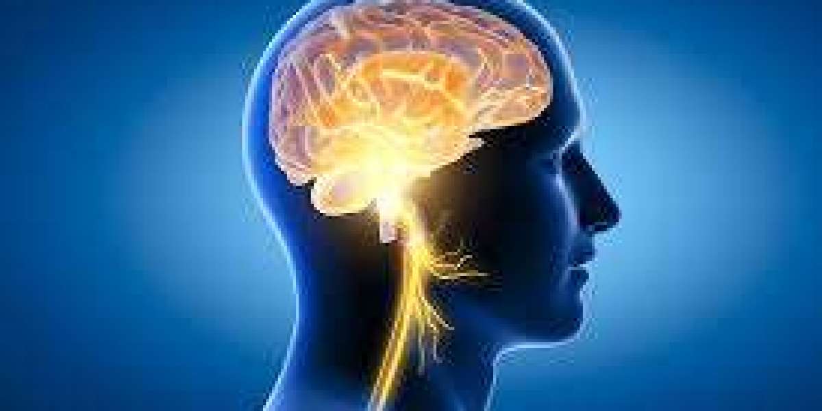 Brain Health: A Complete Guide to Better Focus and Healthy Living