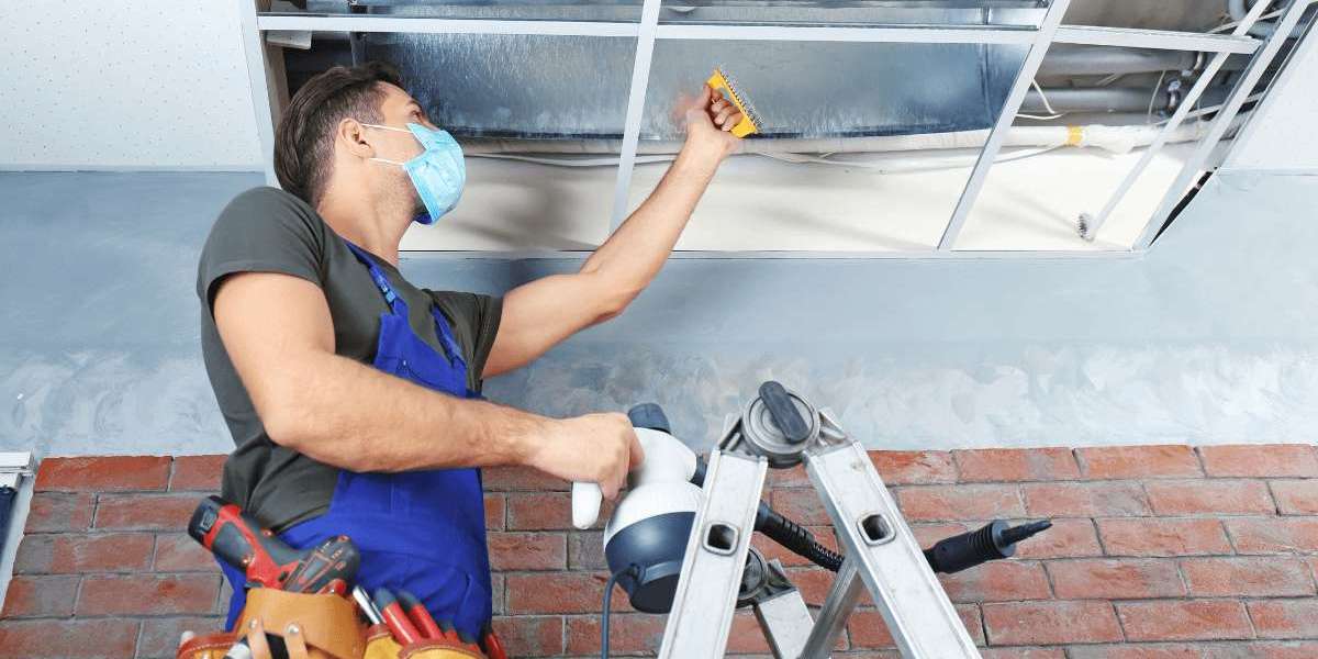 Expert Tips to Maintain Cleaner Indoor Air Throughout the Year