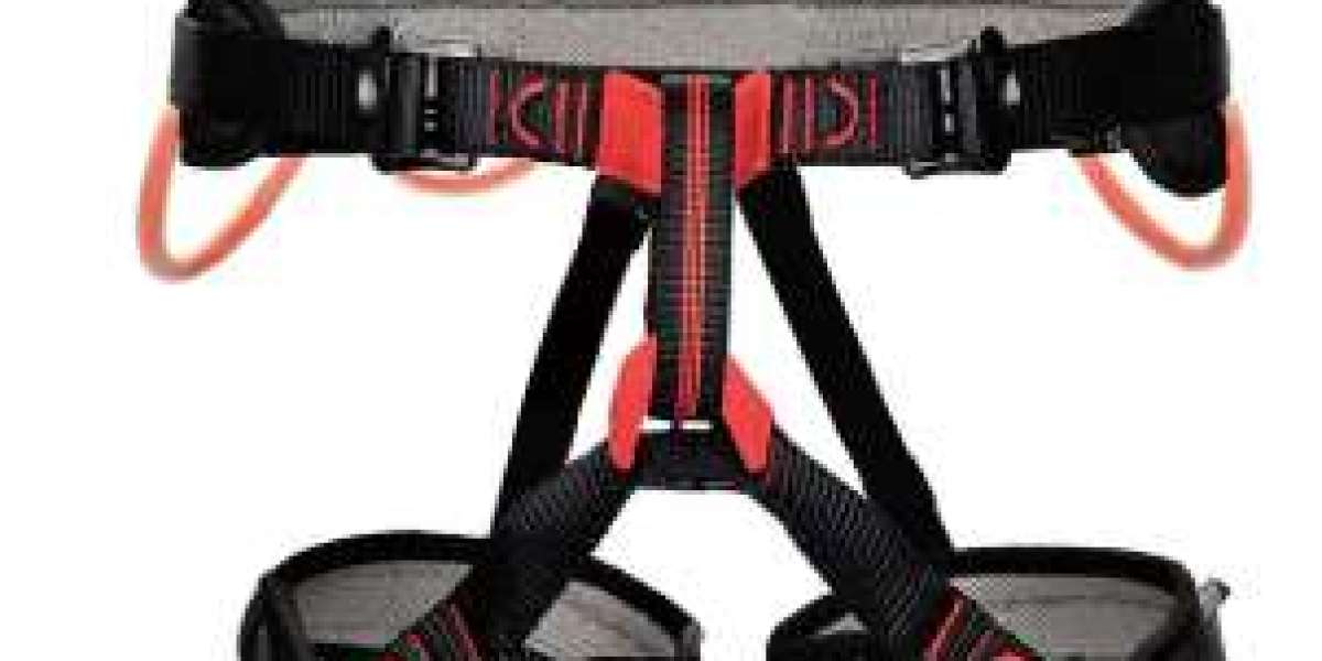 Safety Belt Half Body Harness vs Full-Body Harness: Practical Applications