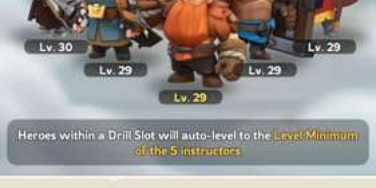 Drill Camp Guide: Auto-Level Heroes & Reset EXP