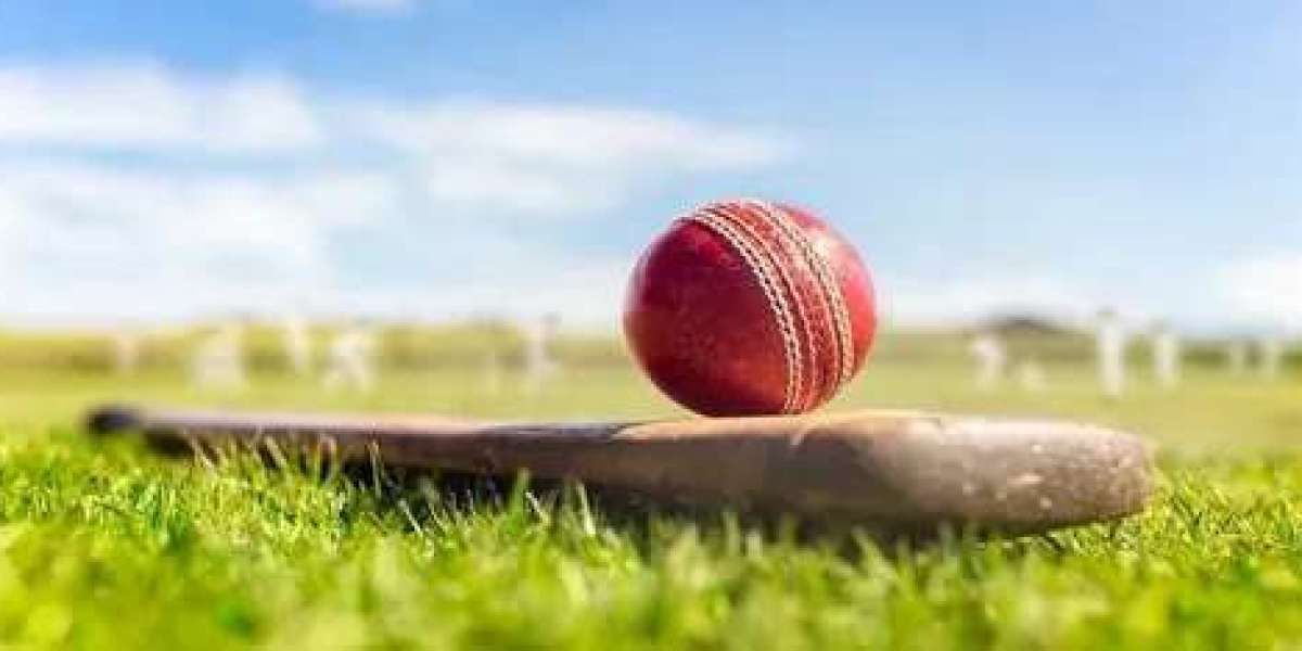 Tiger 365 Pro, Tiger Exchange Betting App, and Tigerexch What Cricket Exchange Users Should Know