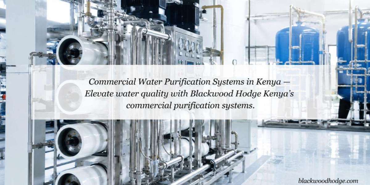 What Powers Commercial Water Purification Systems in Public Sites