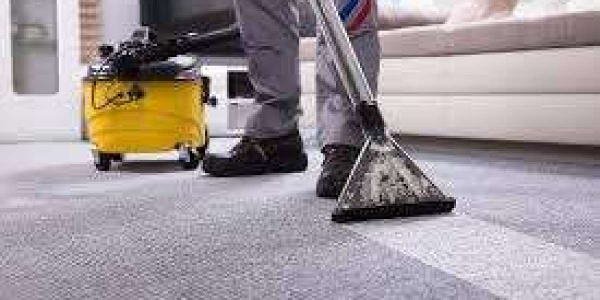 Better Household Upkeep Begins With Carpet Cleaning Services