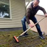 Moss Removal Roof Mosselbay Profile Picture