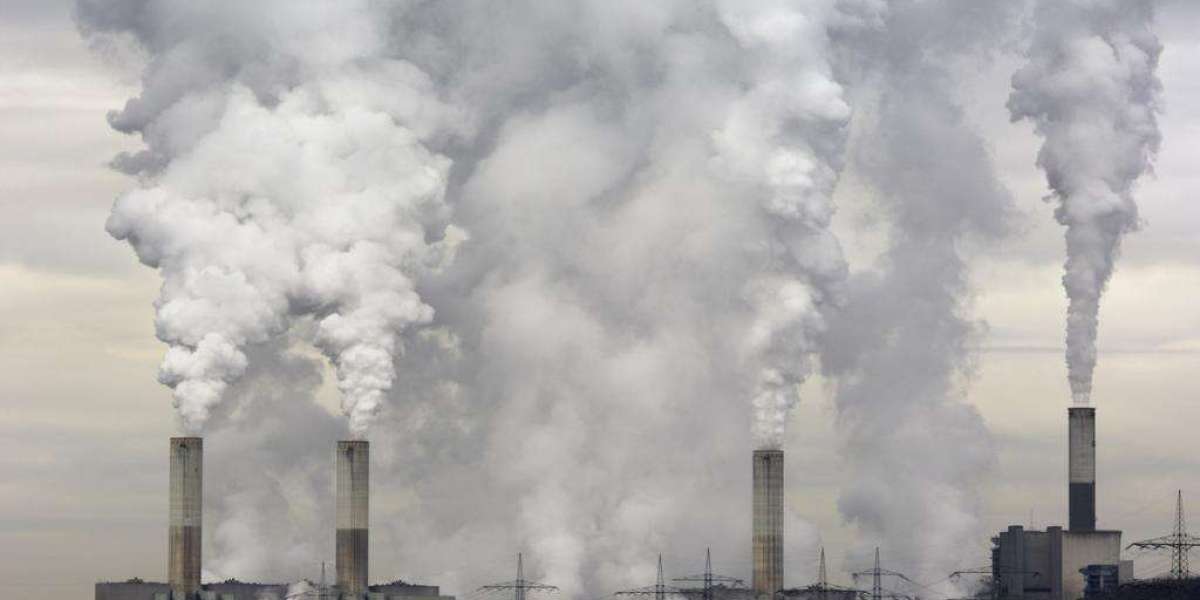 Polluter Pays Principle in Environmental Law: Building Accountability for a Sustainable Future