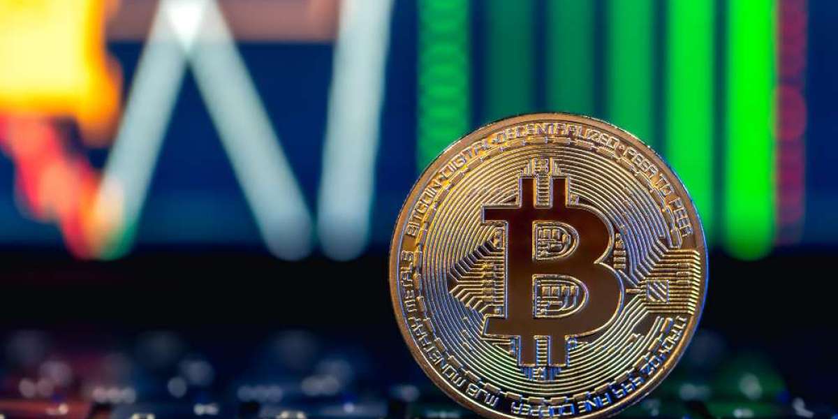 How Profitable Is Cryptocurrency Exchange Development for Startups?