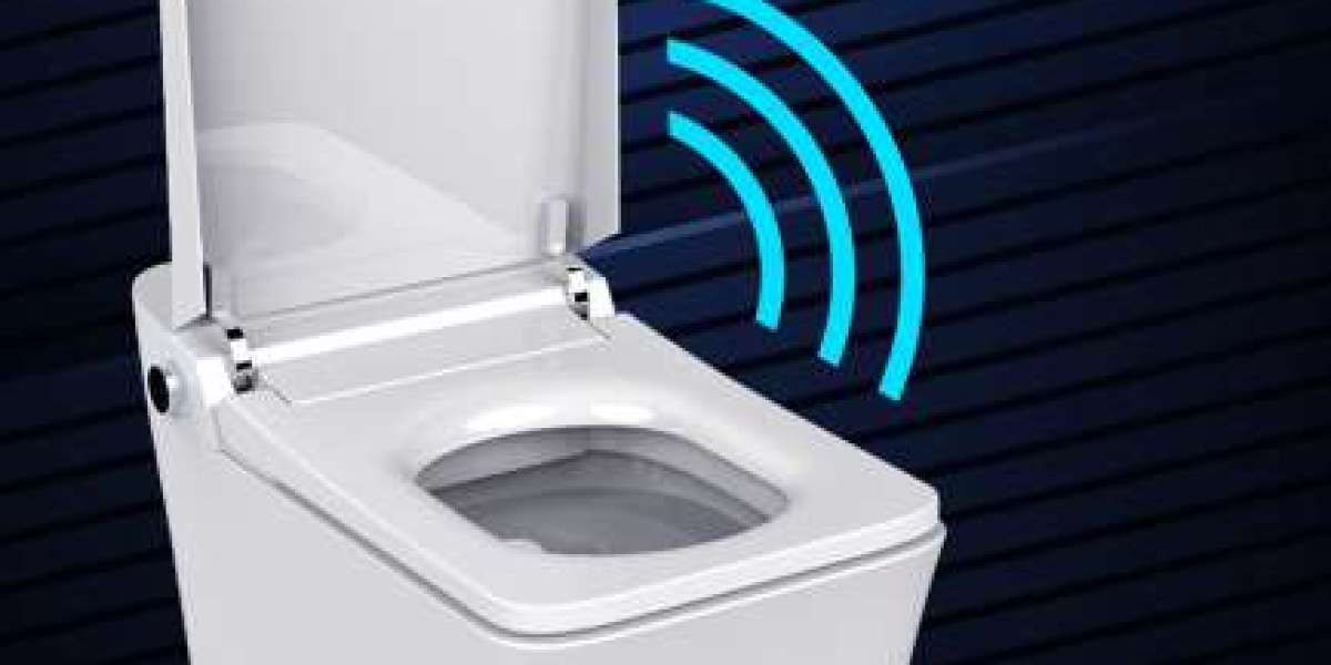 Can a Water Smart Toilet Save Water Effectively?