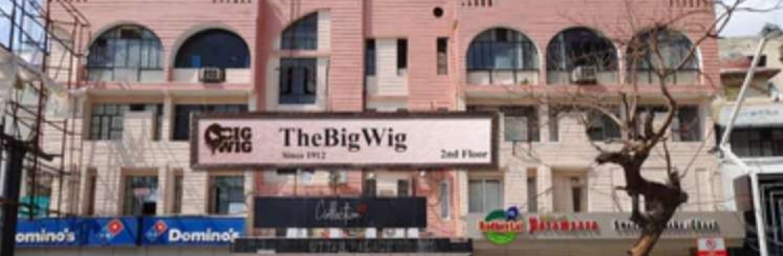 The Big Wig Cover Image