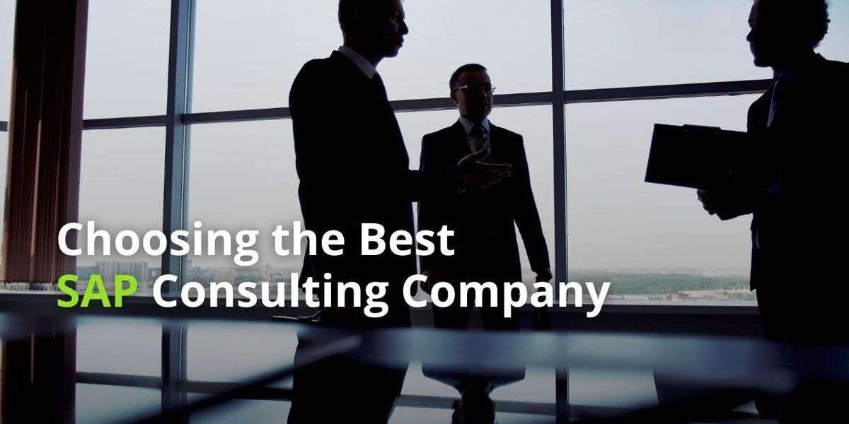 SAP Consultancy in Delhi for ERP Transformation and Business Growth