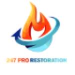 pro restoration Profile Picture