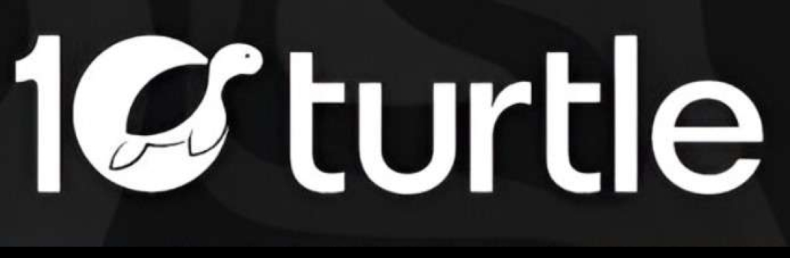 10 turtle Cover Image