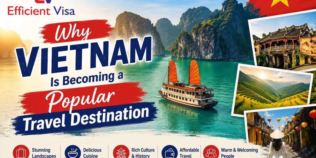 Why Vietnam Is Becoming a Popular Travel Destination