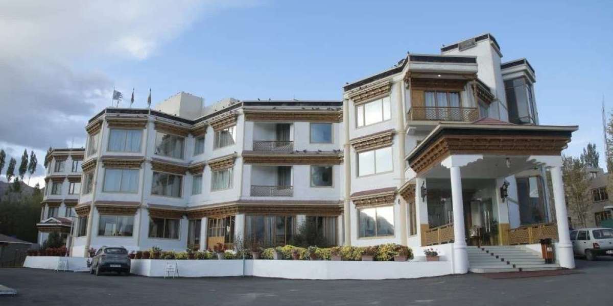 Stay at Best hotel near leh main market