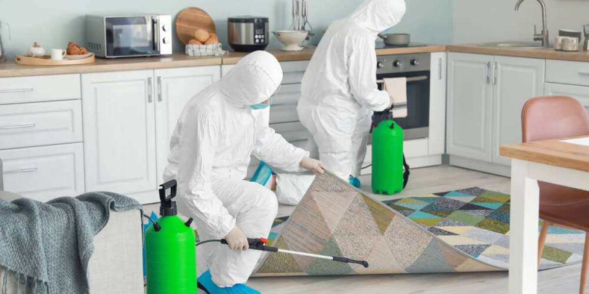Fumigation Services Near Me | Professional Pest Fumigation Solutions for Homes & Businesses