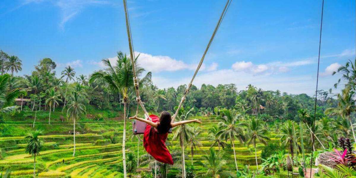 Bali Tour Package from Delhi: Discover the Perfect Island Getaway with a Complete Travel Plan