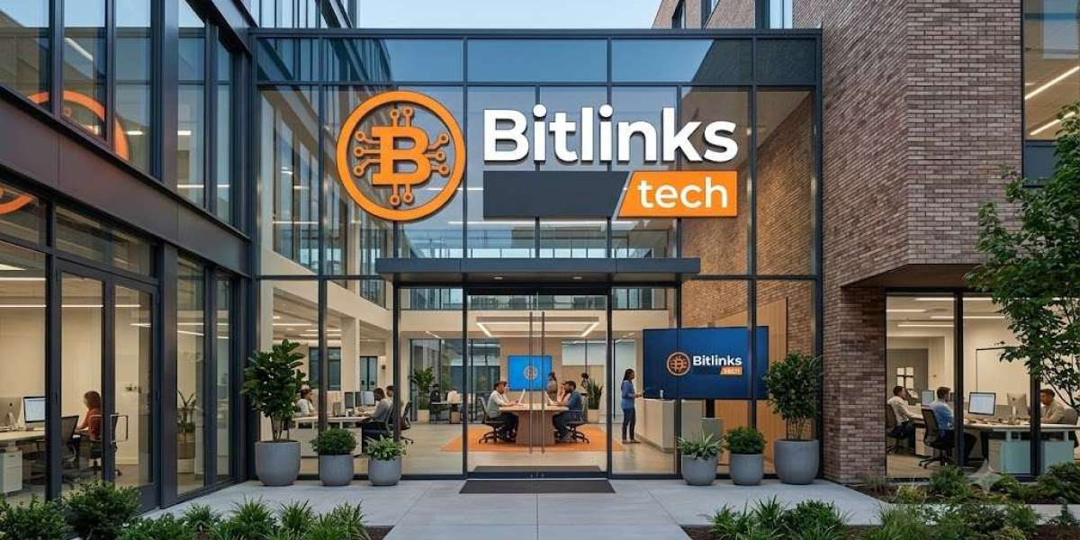 Bitlinks Tech Website Design & Development – Building High-Performance Websites for Businesses in Lahore, Pakistan
