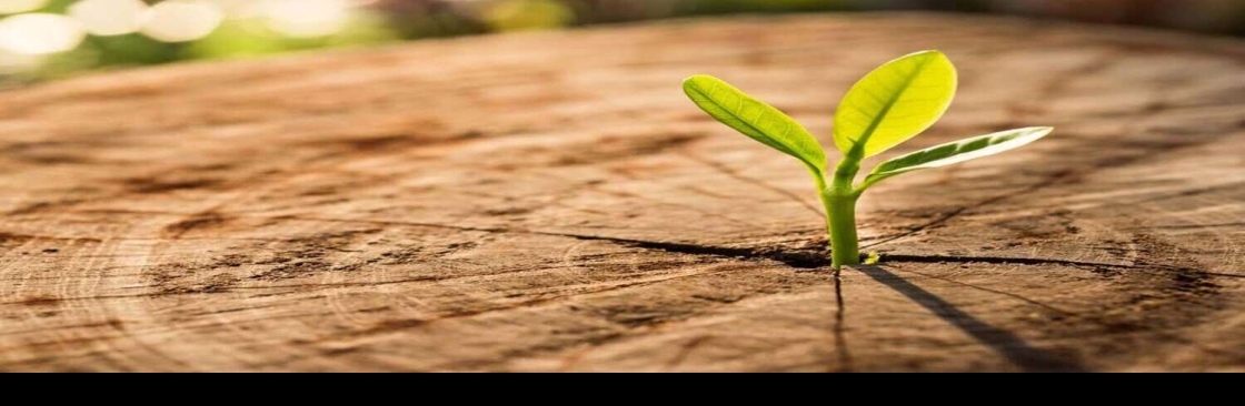 i accountant Chartered Accountants Cover Image