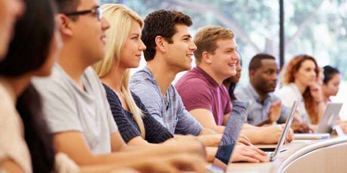Professional Dissertationist: Helping UK Students Manage Research With Confidence