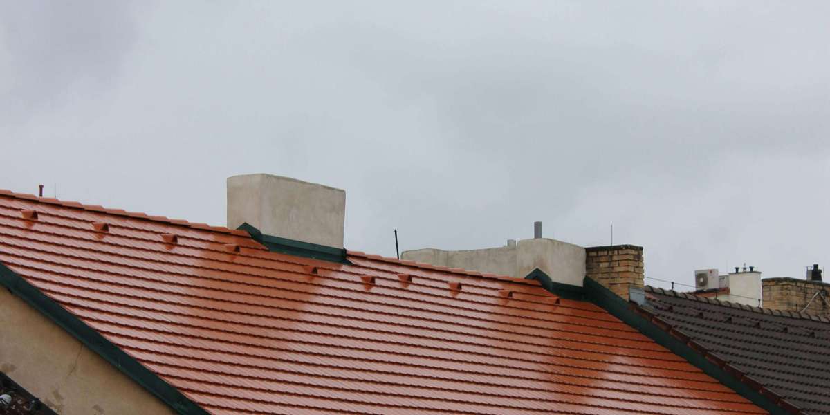 Best Denver Roof Repair