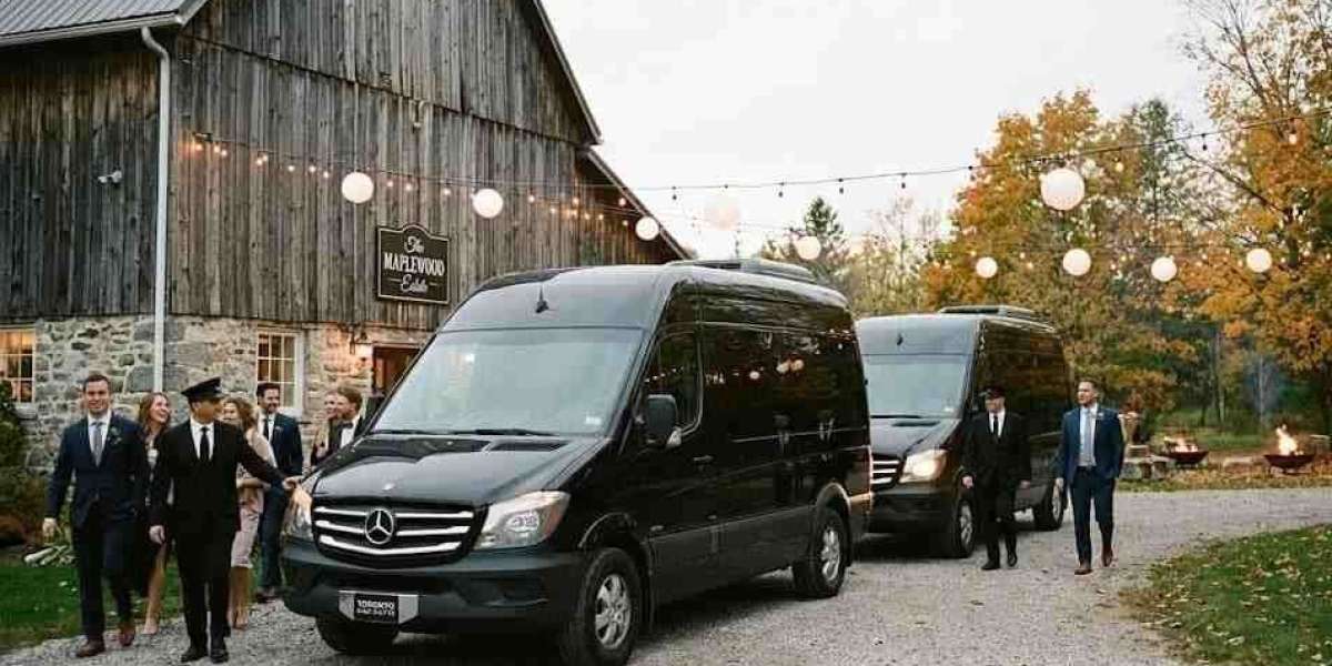 Wedding Transportation Orlando to Kissimmee: A Comfortable Guide for Your Big Day