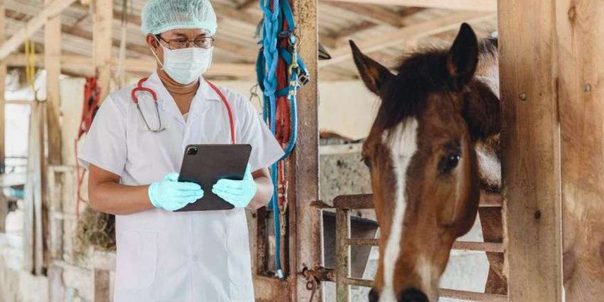 Why Demand for Animal Healthcare Solutions Is Increasing Worldwide