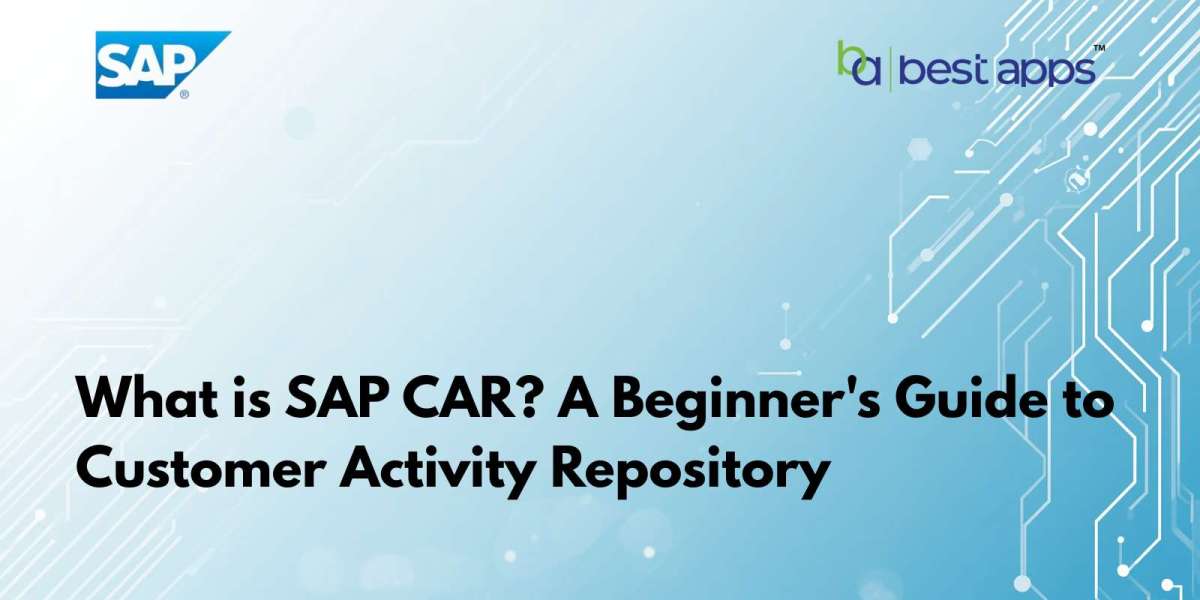 What is SAP CAR? A Beginner's Guide to Customer Activity Repository