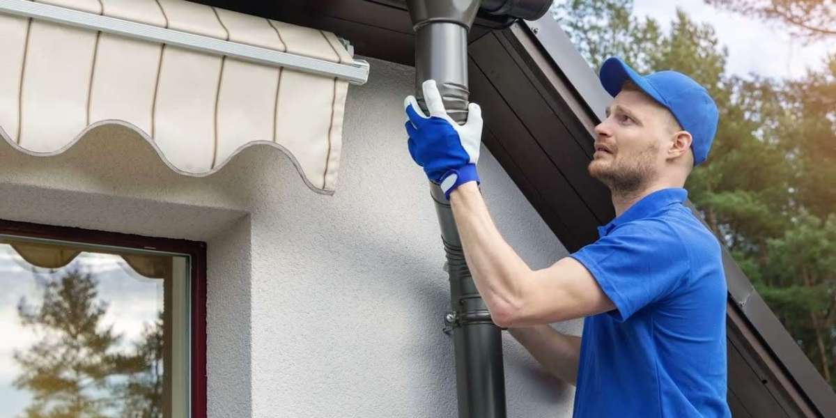 Article Picture