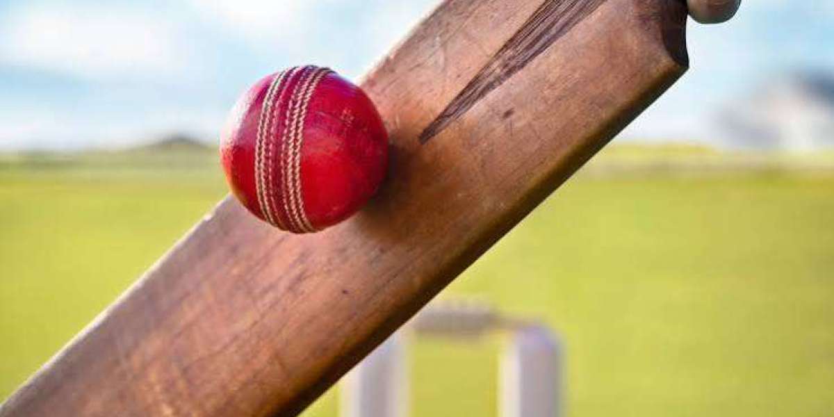 How Can Cricket Win Tips Help You Make More Informed Match Predictions?