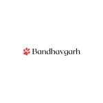 Tiger Safari Bandhavgarh Profile Picture