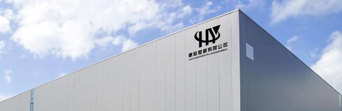 haoyancapmould Cover Image