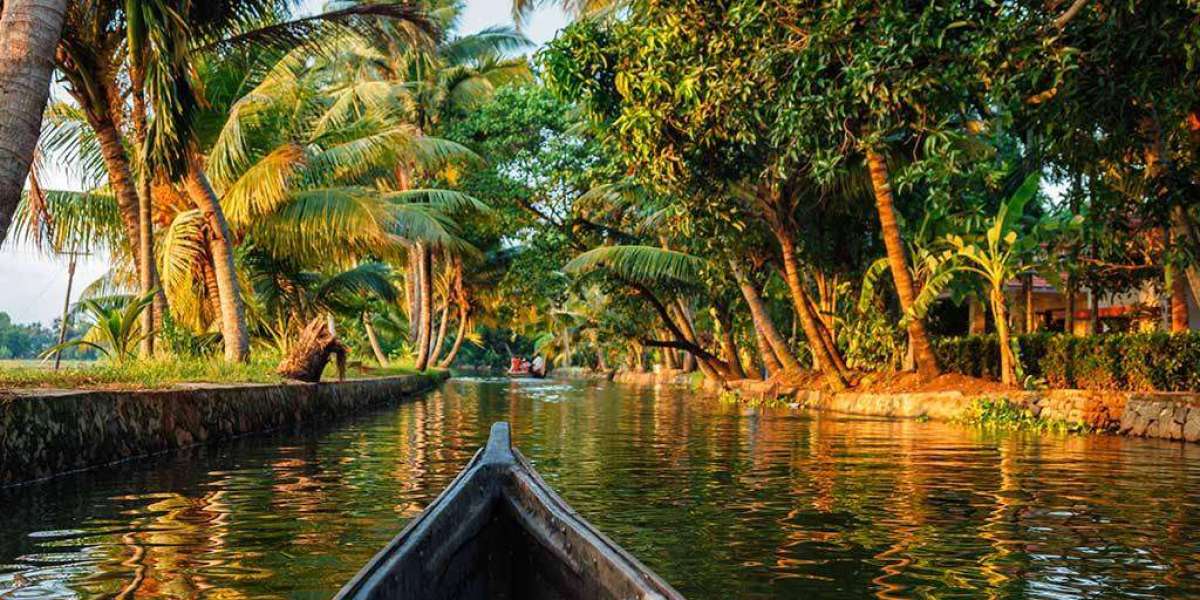 Kerala Tour from Delhi: A Complete Travel Guide to Nature, Culture, and Backwaters