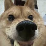AMBE AMBE Profile Picture