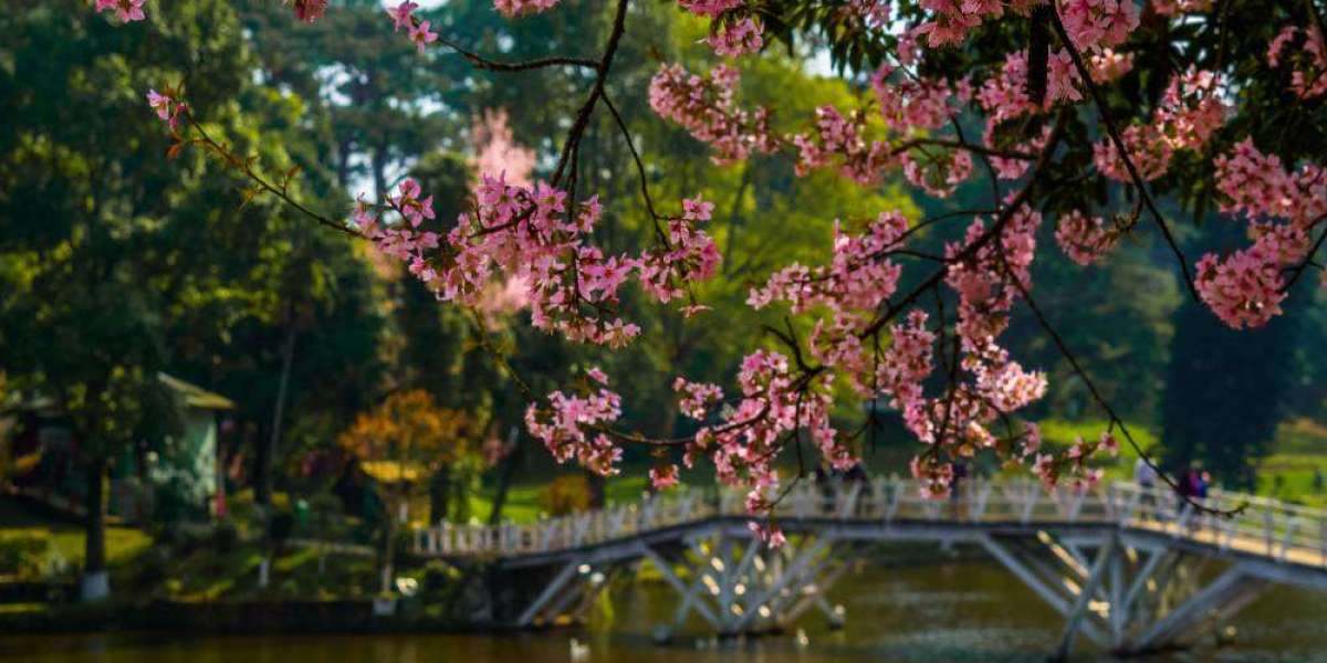 Meghalaya Holiday from Delhi: Explore Shillong, Dawki and Cherrapunji