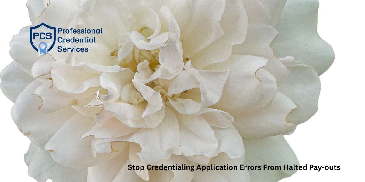 Stop Credentialing Application Errors From Halted Pay-outs