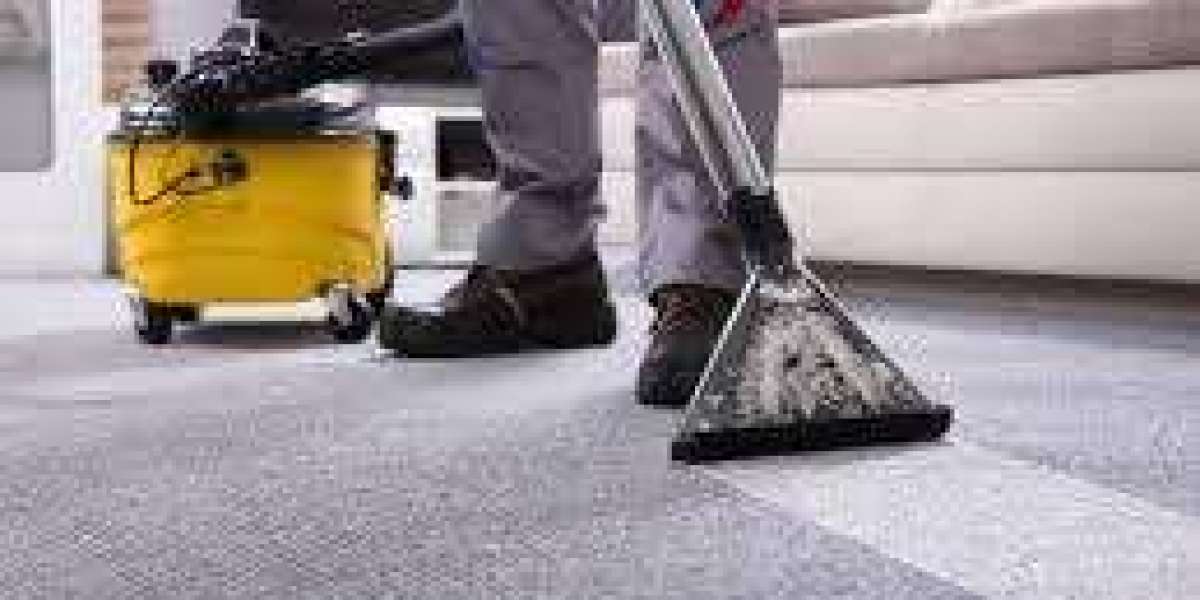 What Is Pro Clean Carpet and Why Is Professional Carpet Cleaning Important?