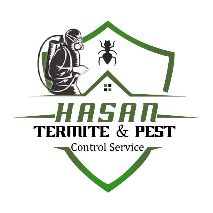 Hasan Termite Profile Picture