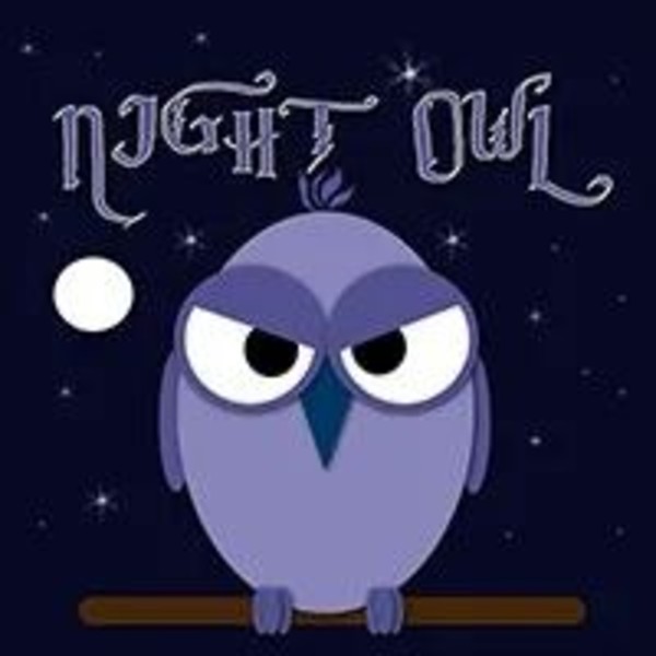 Night Owl EA v3.02 MT4 - AtomFX Store