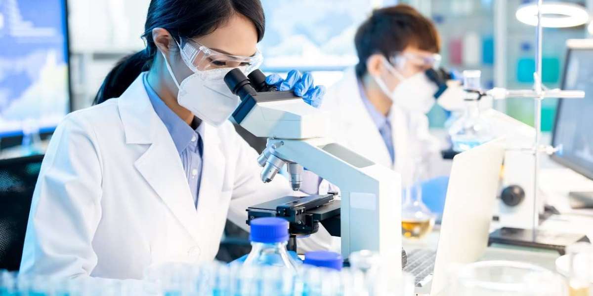 What Factors Can Affect The Results Of An Assay Test?