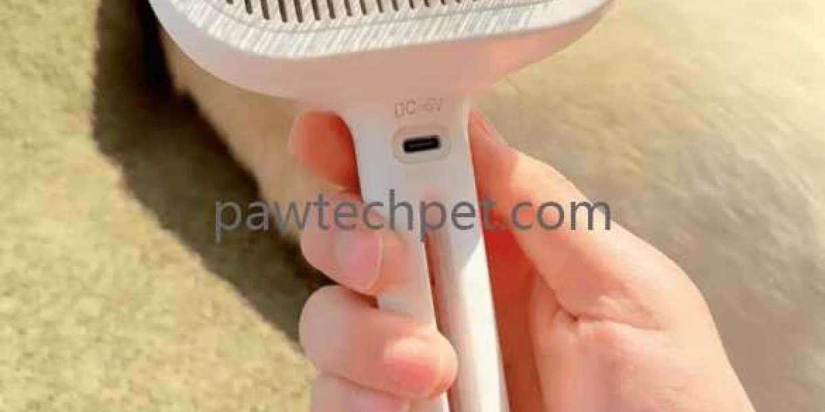 PAWTECH Modern Grooming Tools for Everyday Pet Care