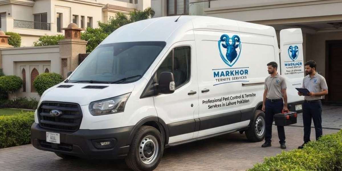 Professional Termite & Pest Control Services in Lahore Pakistan