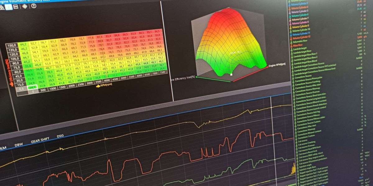 Inside a Commercial Buildout: Real Timelines, Real Costs