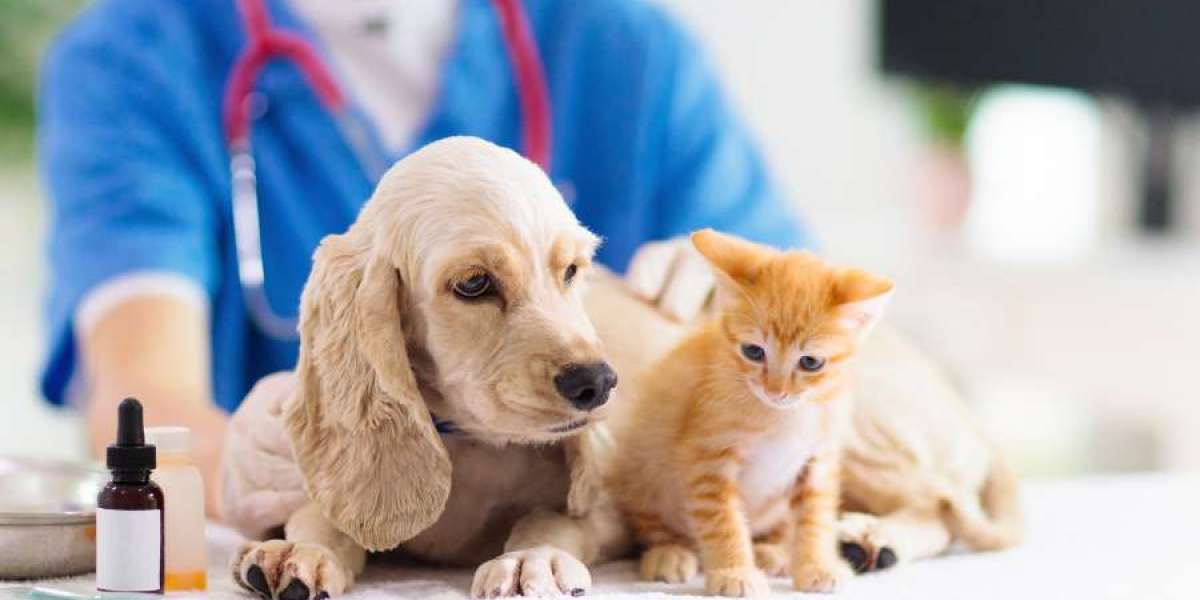 Pet Care Market: Growth, Trends, Regional Insights and Forecast 2035