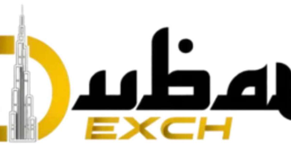 DubaiExch247: A Complete Guide to Features, Benefits, and User Experience