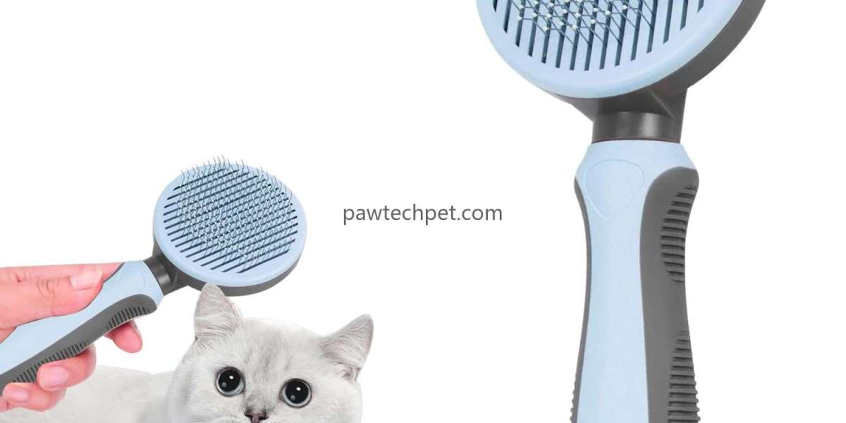 Reliable Grooming Tools for Modern Pet Care