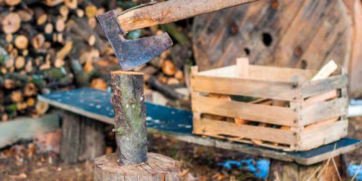 Trees by Forrest | Arborist Tree Assessment for Healthier and Safer Properties
