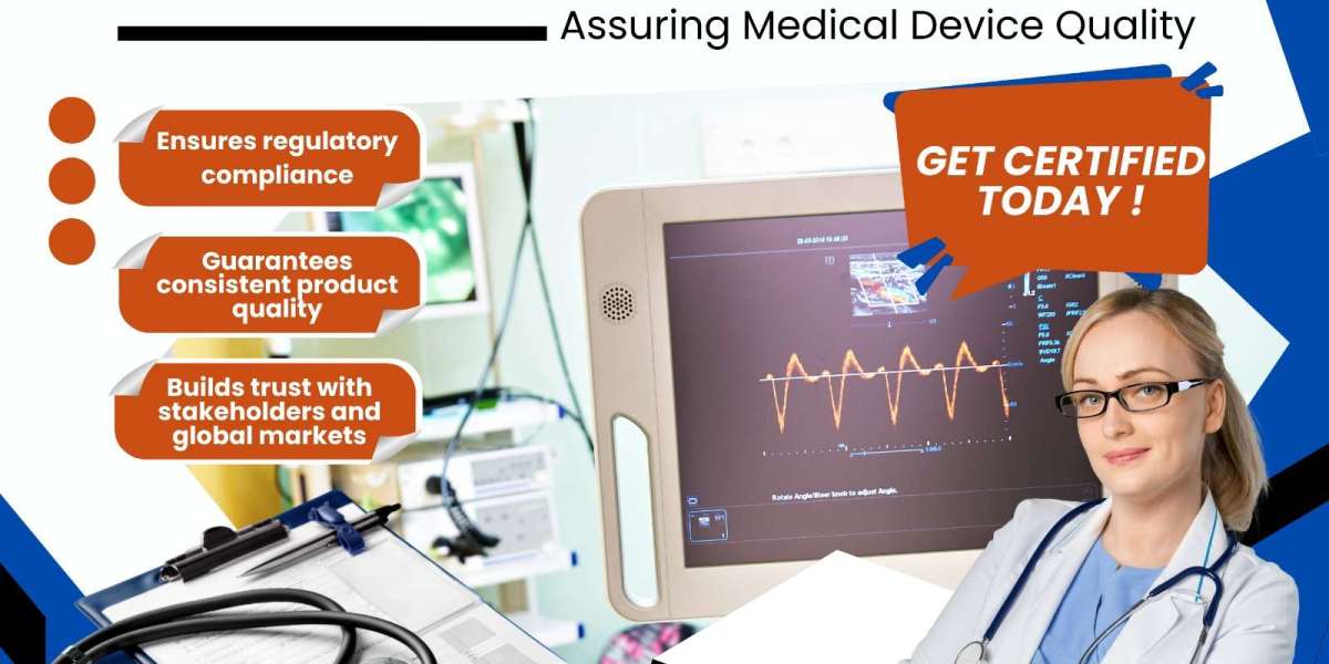 Case Studies: Success Stories of Organizations That Worked With ISO 13485 Consultants in Denver