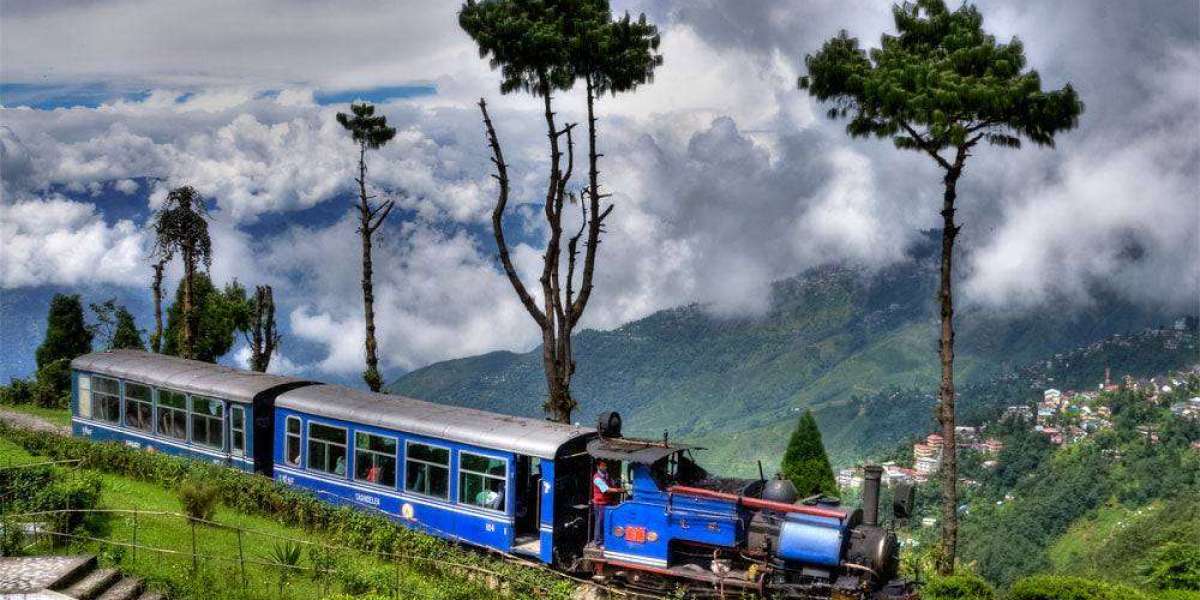 Darjeeling Honeymoon Moments: Scenic Adventures and Peaceful Escapes for Couples
